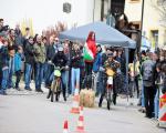 images/38 Jahre/IMG_8720.jpg